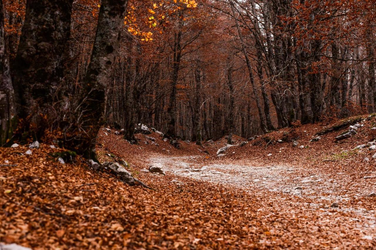 Appartamento A Campo Felice - Treeffe Collimento Luaran gambar