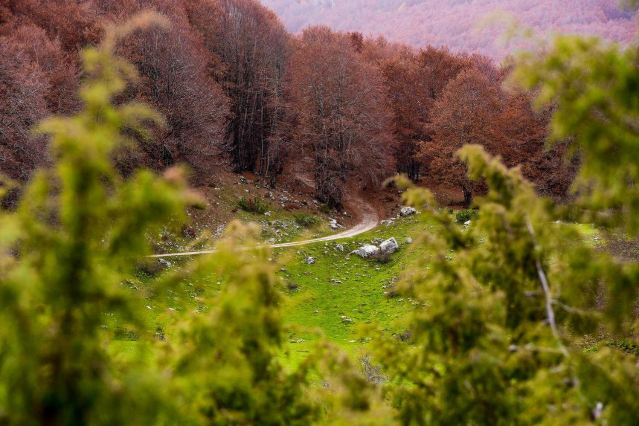 Appartamento A Campo Felice - Treeffe Collimento Luaran gambar